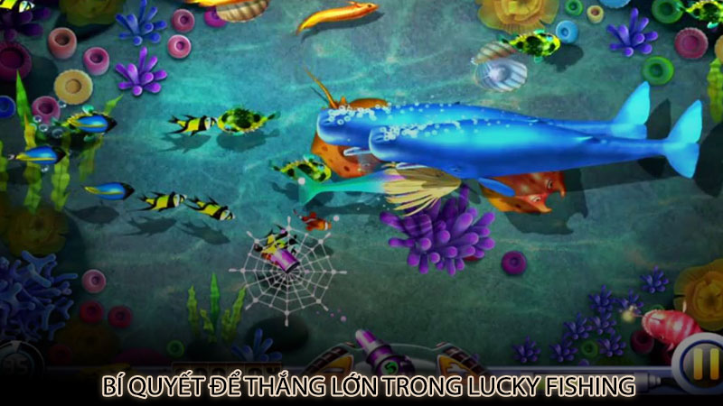 Bí quyết để thắng lớn trong Lucky Fishing