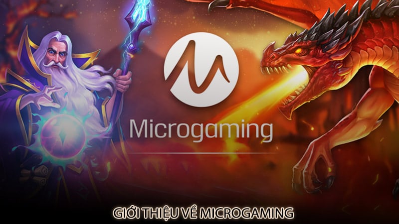 Giới thiệu về Microgaming