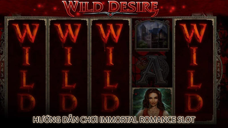 Hướng dẫn chơi Immortal Romance slot