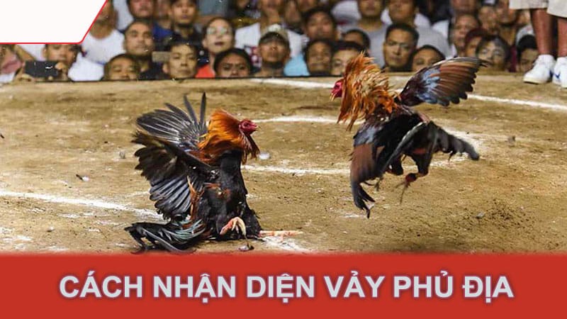 Cách nhận diện vảy phủ địa