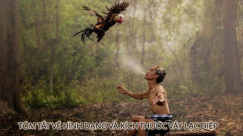 Tóm tắt về hình dạng và kích thước vảy lạc diệp